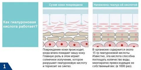 Цистит гиалуроновая кислота