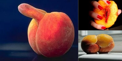 женский персик эротика