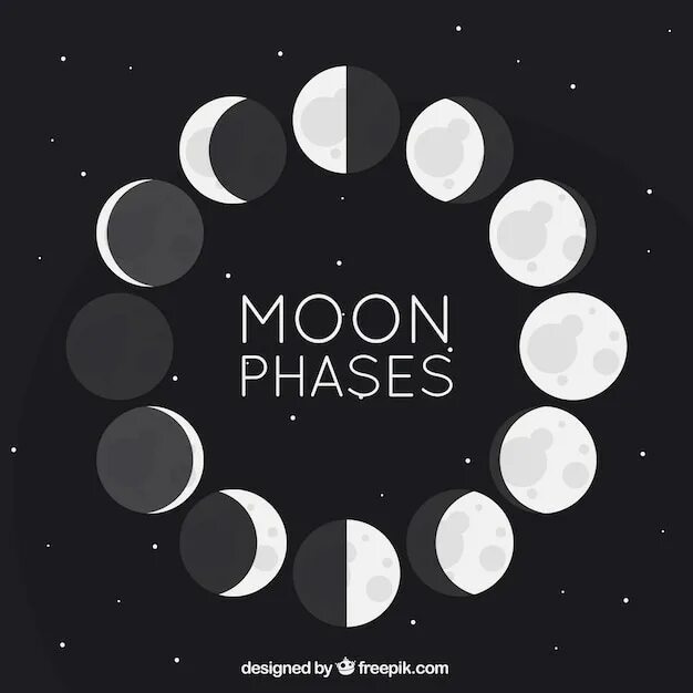 Moon correct moon. Moon phases. Лунный цикл. Луна Графика. Лунный цикл вектор.