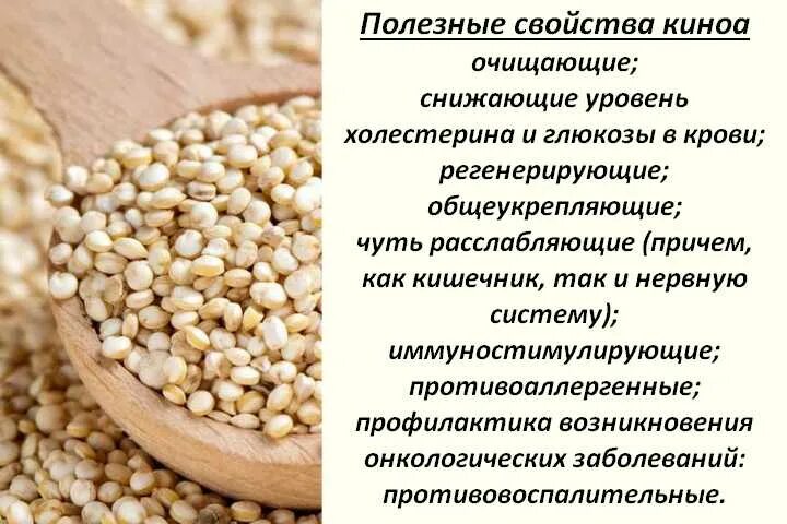 Киноа крупа полезные свойства и противопоказания. Киноа крупа полезные. Киноа чем полезна. Киноа крупа чем полезна. Киноа крупа полезные свойства.