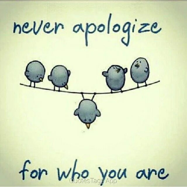 You should apologize. Never apologize и флаг. Best cartoon quotes. Stay true to yourself. For who by.