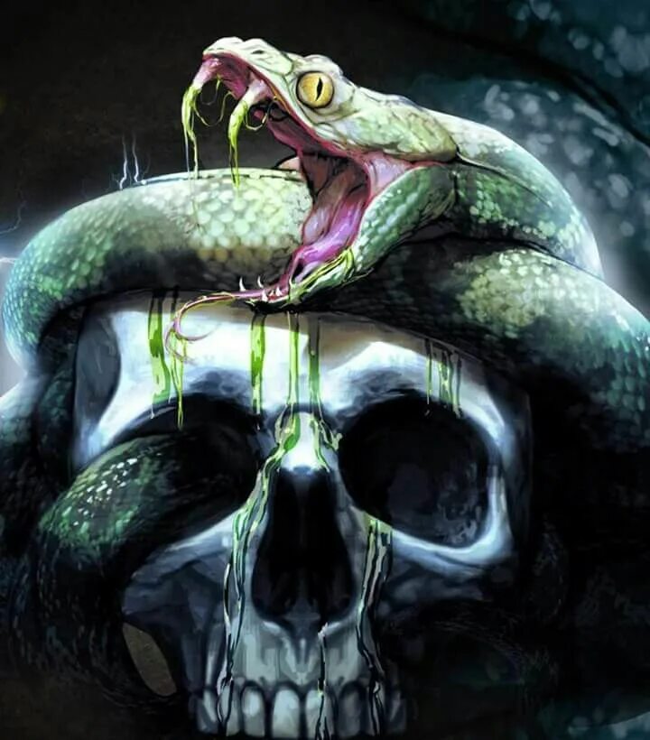 Змея аватарка. Змеиный оскал. Эмблема змеи. Пещерная гидра герои 7. Аватарка змеи.