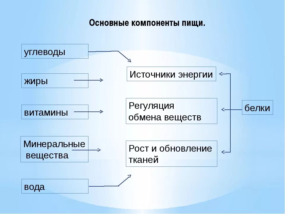 Функции белков жиров и углеводов. Компоненты питания и их функции. основные компоненты пищевого рациона. основные компоненты пищи схема. перечислите основные компоненты пищи.