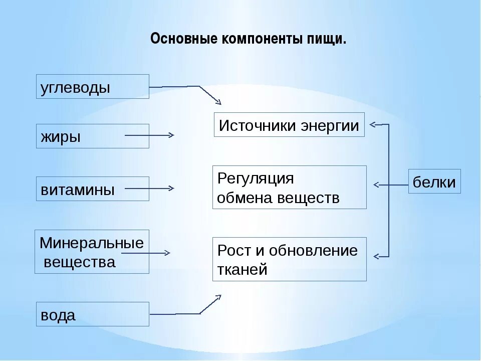 Основные источники белков жиров углеводов. Основные компоненты питания. Основные компоненты пищи схема. Основные компоненты пи. Основные составные части пищи.