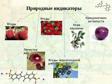 Индикаторы презентация