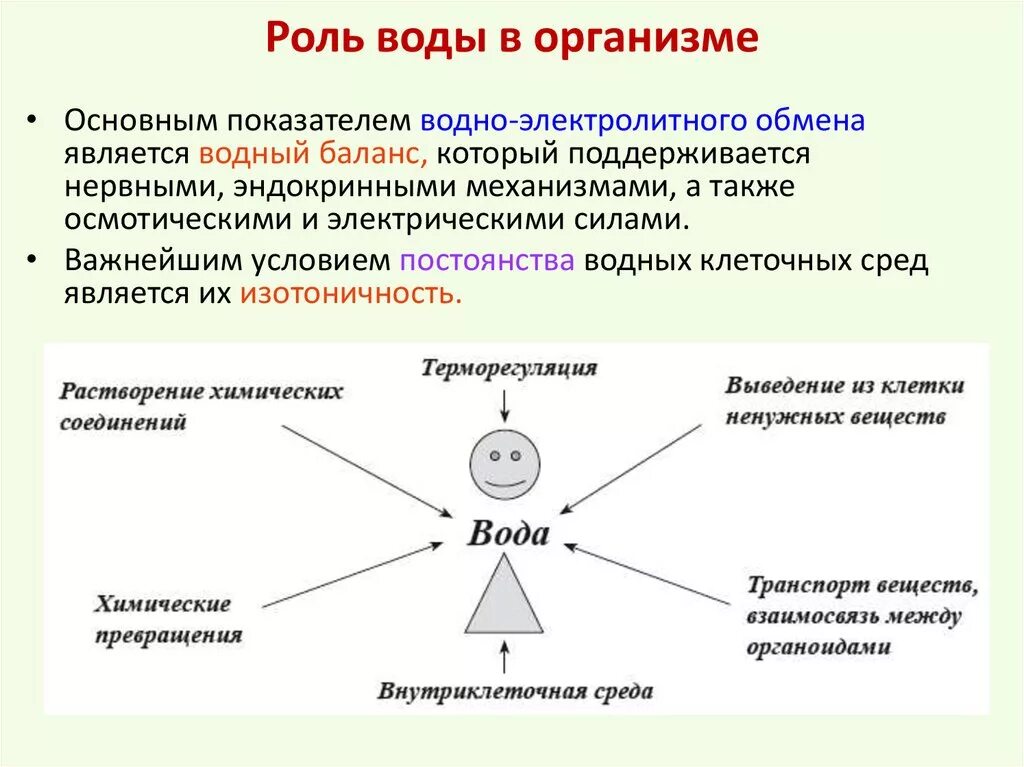 Изменения организма в течении жизни это. Роль воды в организме человека. Роль воды в жизнедеятельности организма. Функции воды в организме. Функции воды для человека.