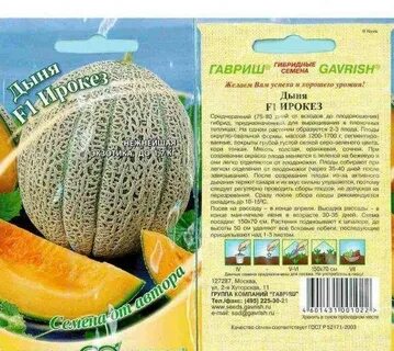 Сорта дынь для сибири