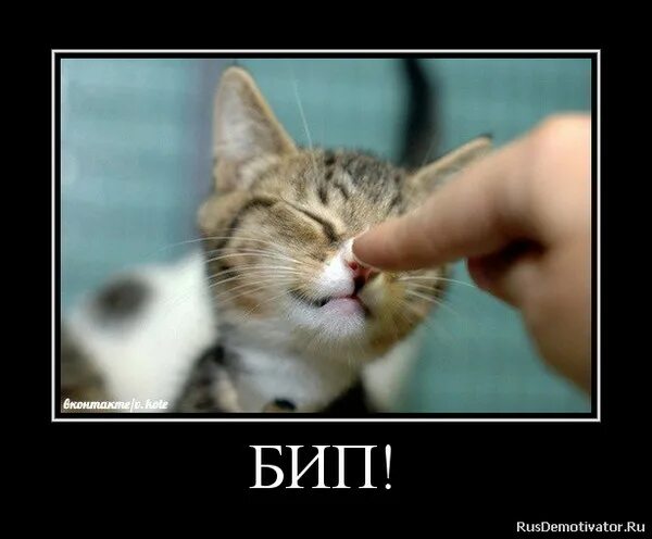 Не плачь это солнце. Не плачь это солнце. Не плачь это солнце. Не плачь солнце. Ты знаешь бог я сказочно богата стих.