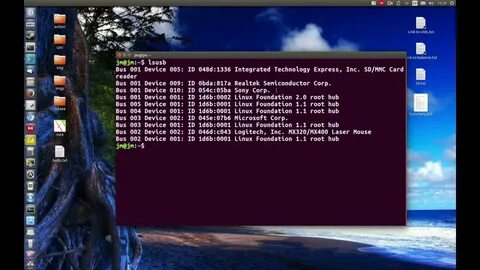 Usb devices linux