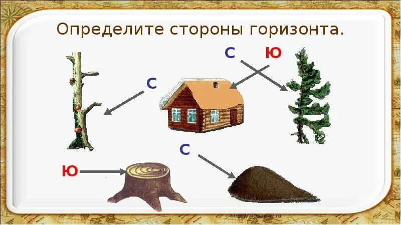 Природные признаки сторон горизонта рисунки 2 класс