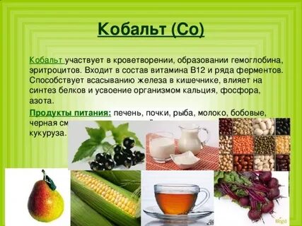 Роль кобальта в организме человека