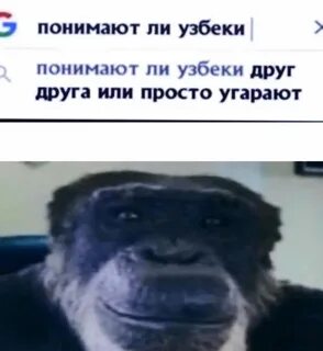 Узбеки понимают друг друга или просто угорают