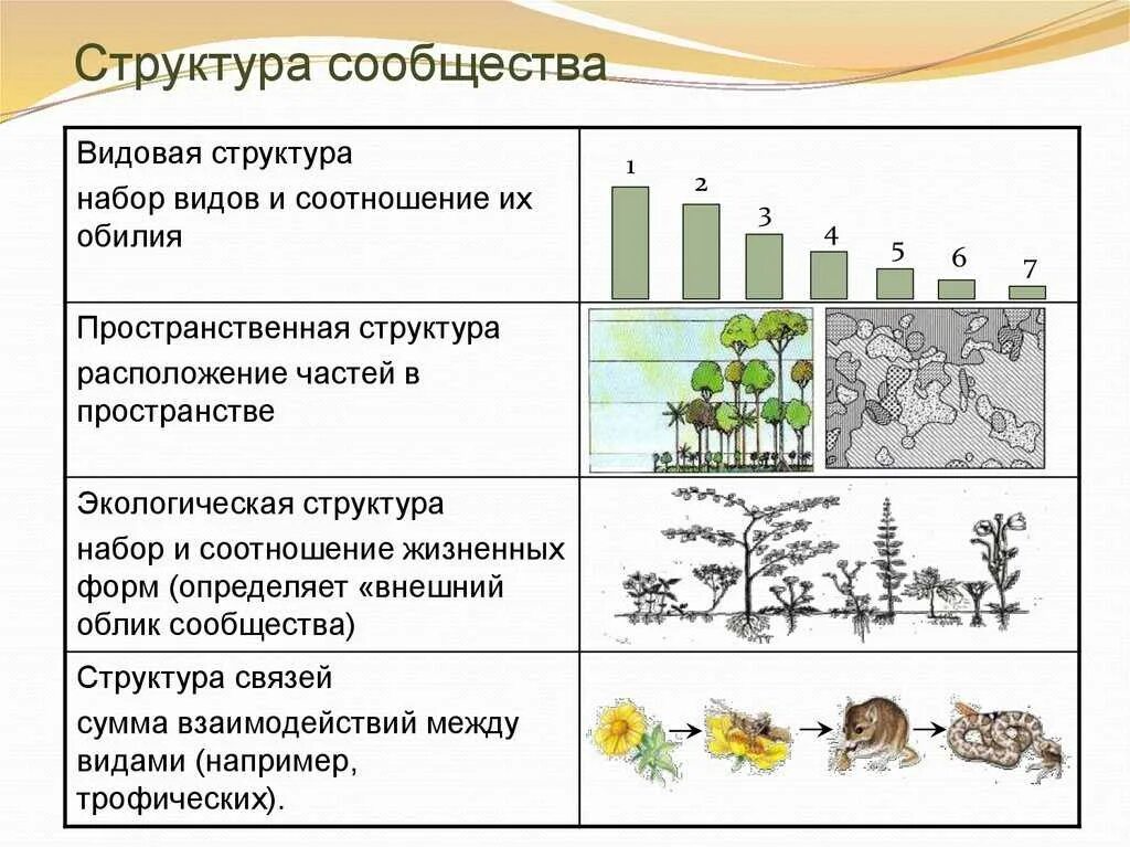 Характеристики и их разнообразии