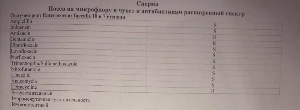 Бак посев на микрофлору. Бак посев на микрофлору