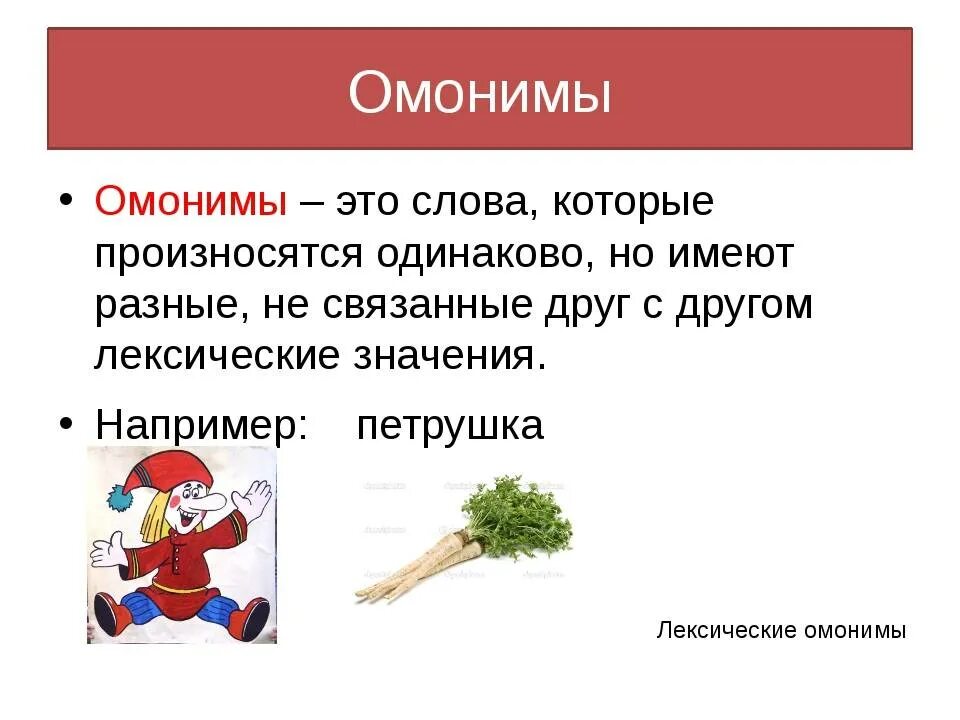 В предложениях разновидности омонимов объясните их значение
