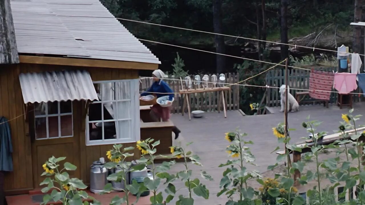 Медвежьегорск карелия любовь и голуби дом. Любовь и голуби дом. Где дом из любовь и голуби. Меньшов в фильме любовь и голуби. Медвежьегорск карелия любовь и голуби.