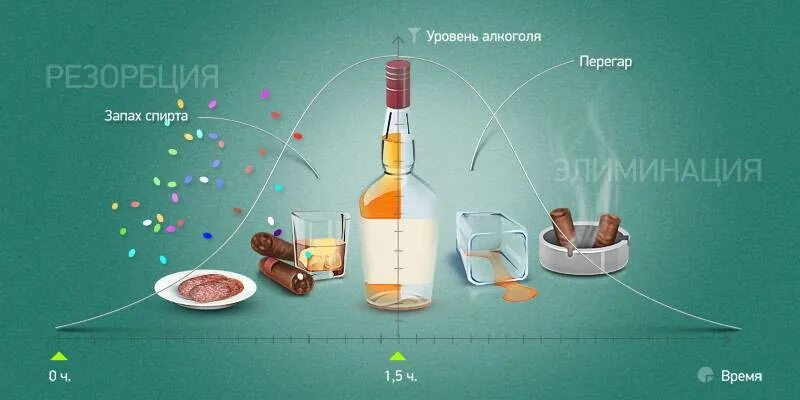 Как быстро протрезветь. Продукты для отрезвления. КВК бычтре прлтвезветь. Чем убрать запах перегара изо рта быстро