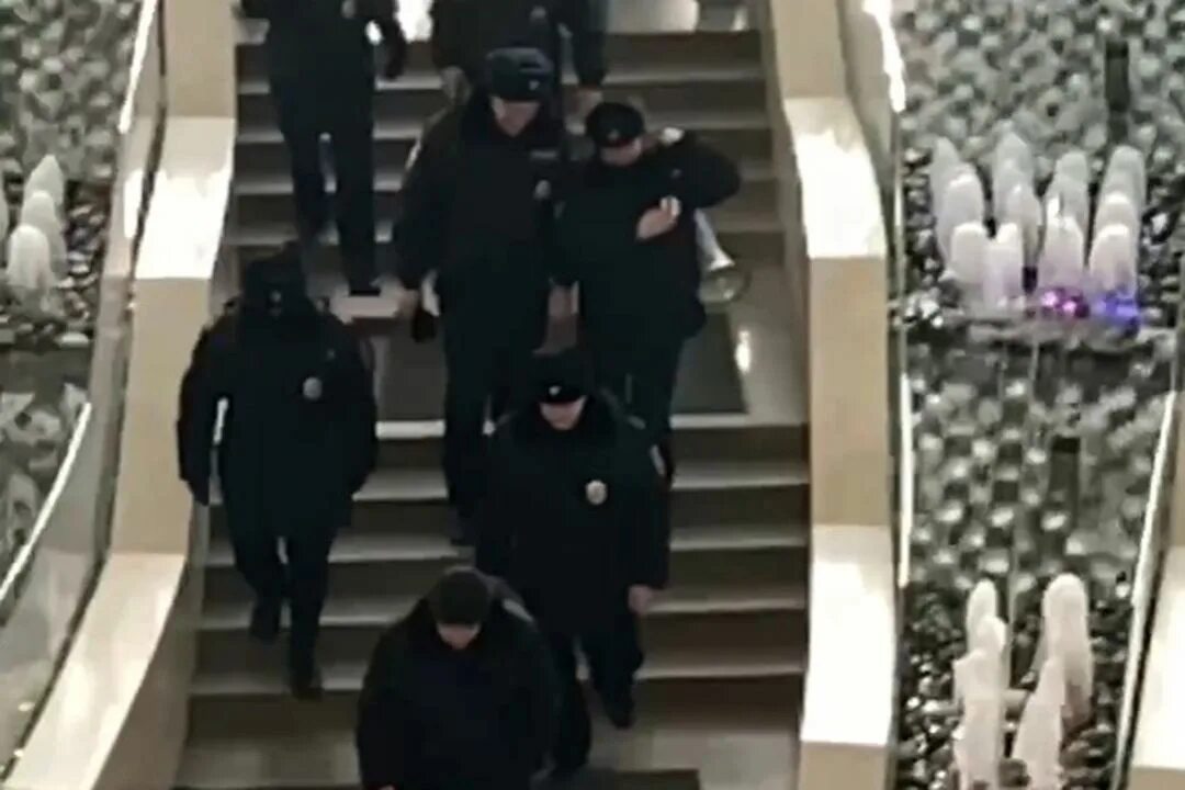 Девочка из чвк редан в тц