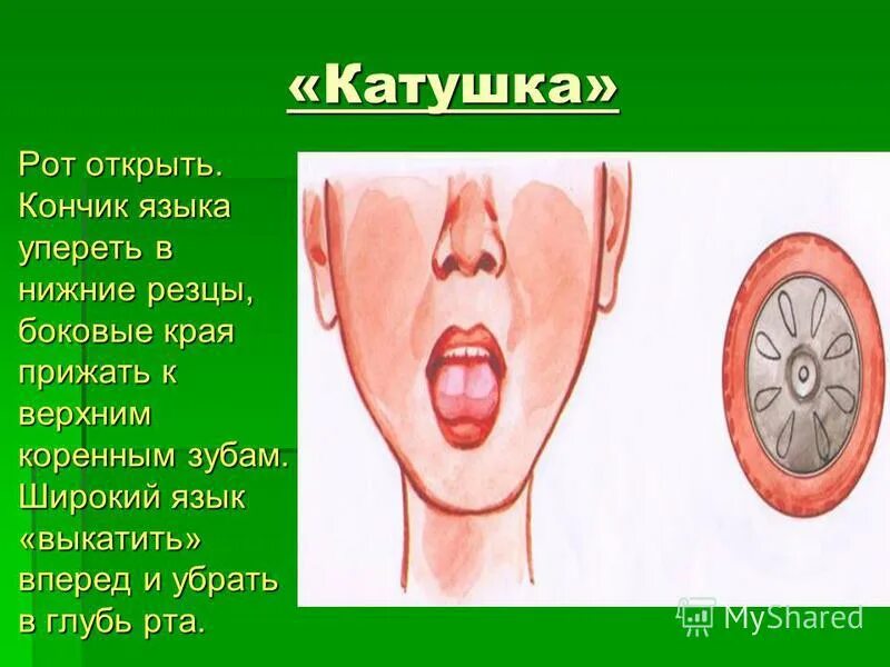 Немеет язык причина у мужчин. Артикуляционная гимнастика катушка. Артикуляционное упражнение катушка. Упражнение катушка артикуляционная гимнастика. Артикуляционная гимнастика катушка в картинках.