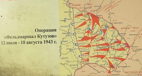 Брянская область операция
