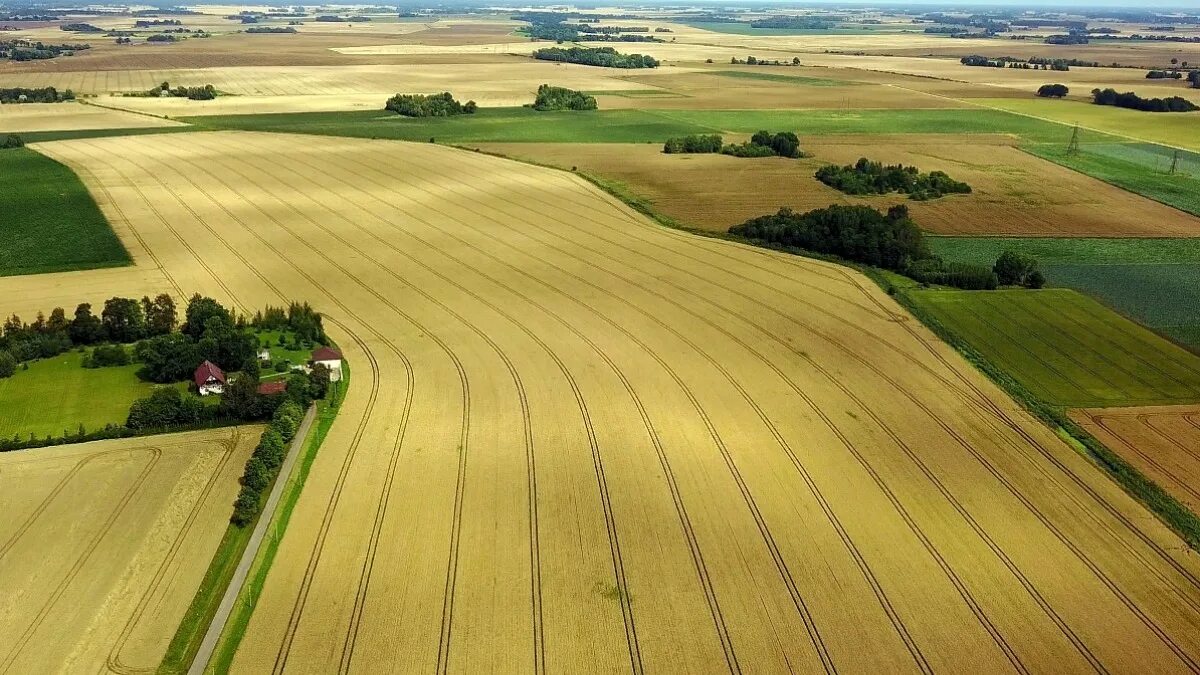 Пахотные земли сша. Пахотные почвы. Плодородные пастбища. Плодородные пастбища. Плодородные пастбища.