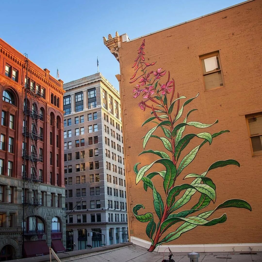 Мона Карон художник. Граффити растения. Роспись стен домов на улице. Рисунок на стене улица