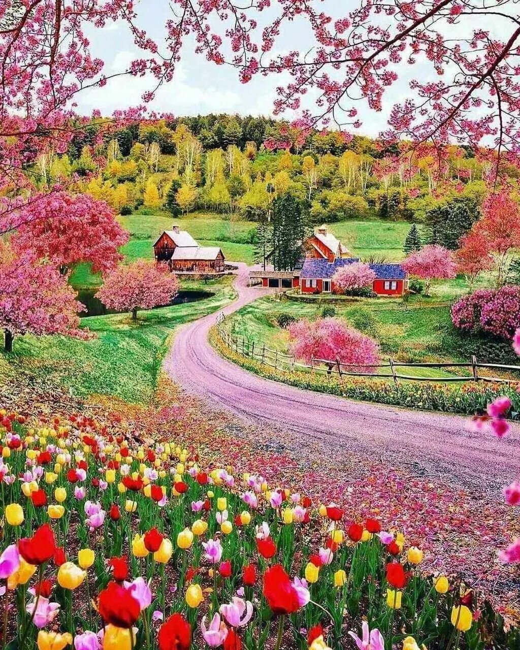 Красивый пейзаж весенний. Весенний пейзаж. яркая природа. весна природа. красивые весенние пейзажи.