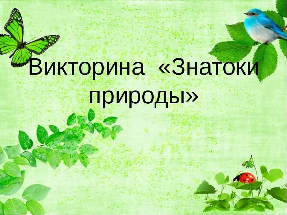 Занятие знатоки природы в подготовительной группе. Знатоки природы задания.