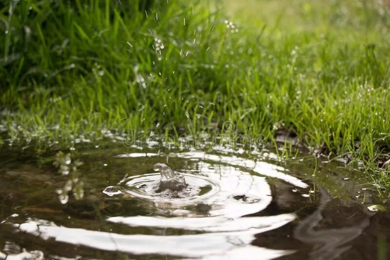 Литва дождевая вода