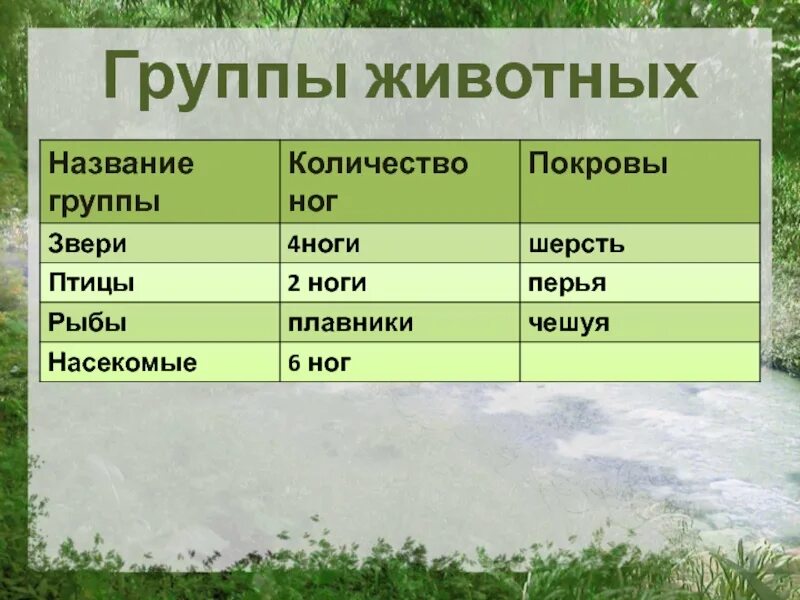 Название групп животных. Названия групп животных. какие бывают группы животных. 4 группы животных. общее название группы животных.