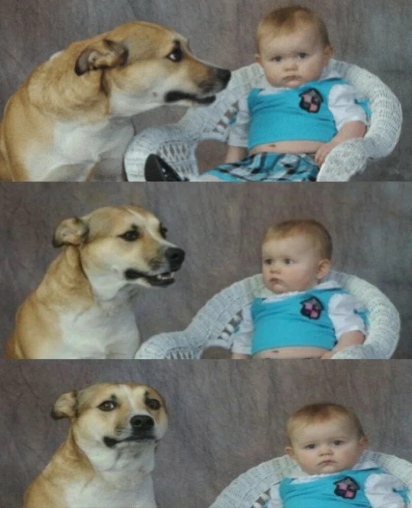 50 Memes That Topped the Charts on Reddit Last Week - Funny Gallery Cute funny a