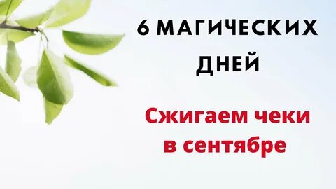 Дни сжигания чеков
