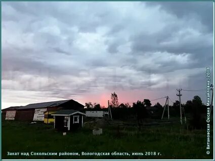 Погода в новой шомохте нижегородской
