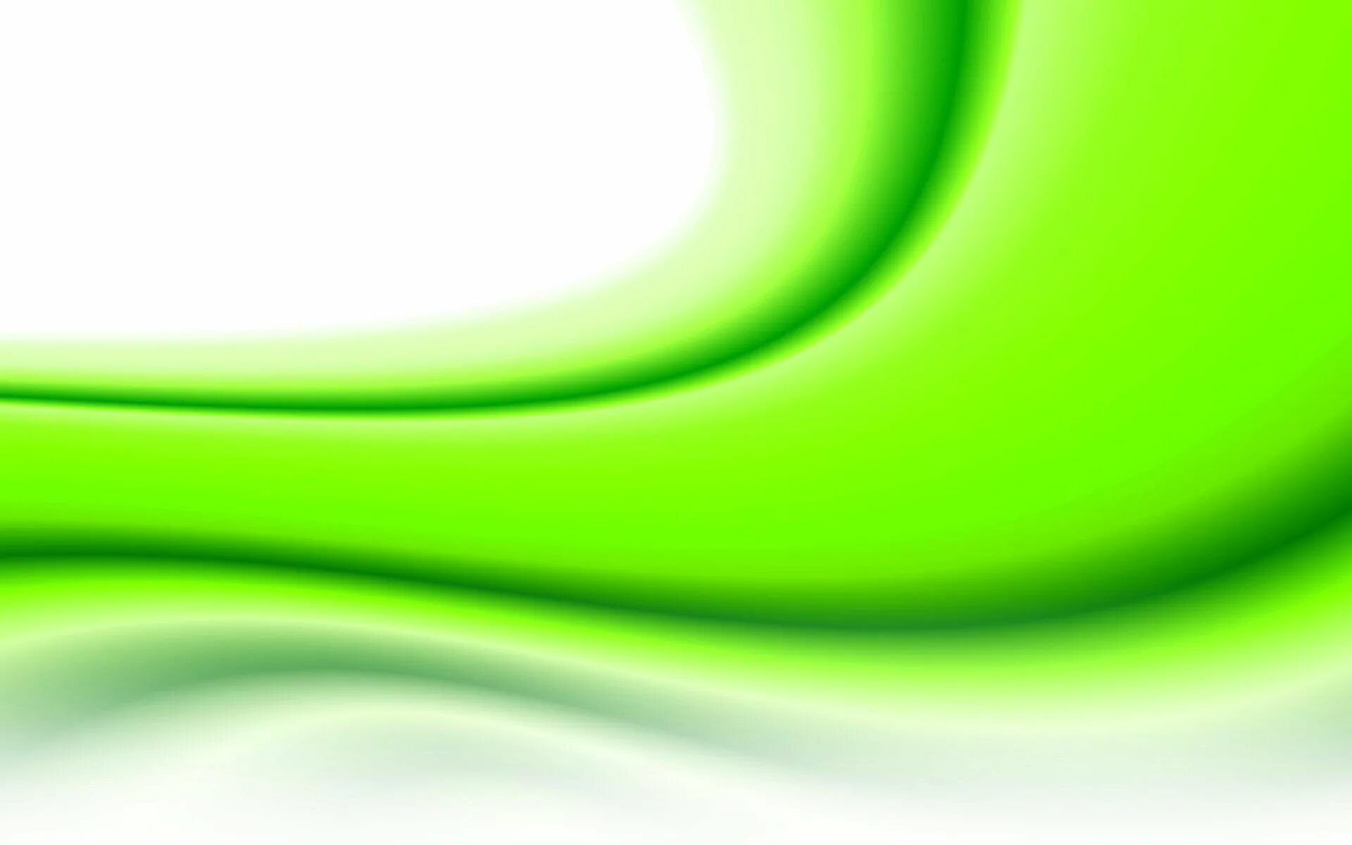 Плашка для текста. Title fight floral green. Фон для презентации строгий. Green title. Green title.