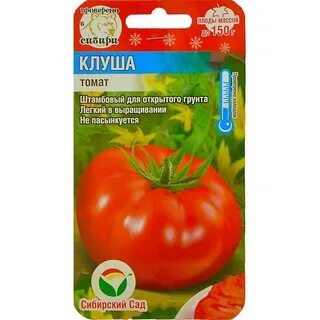 Сорт томатов клуша характеристика