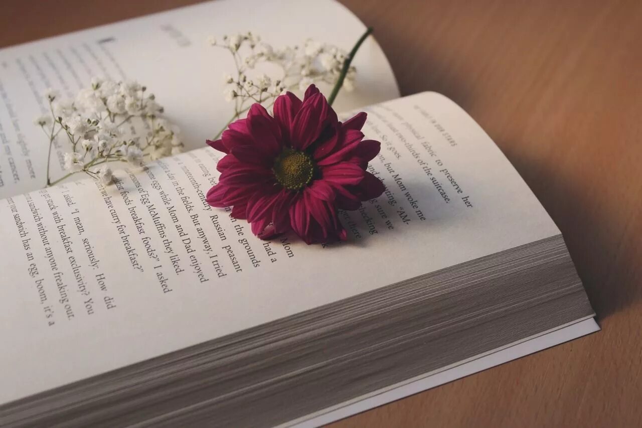 Год в цветах книга. Книга цветы. Цветы из книги. Книги и цветы красивые фото арт. Черно белые цветы для книги.
