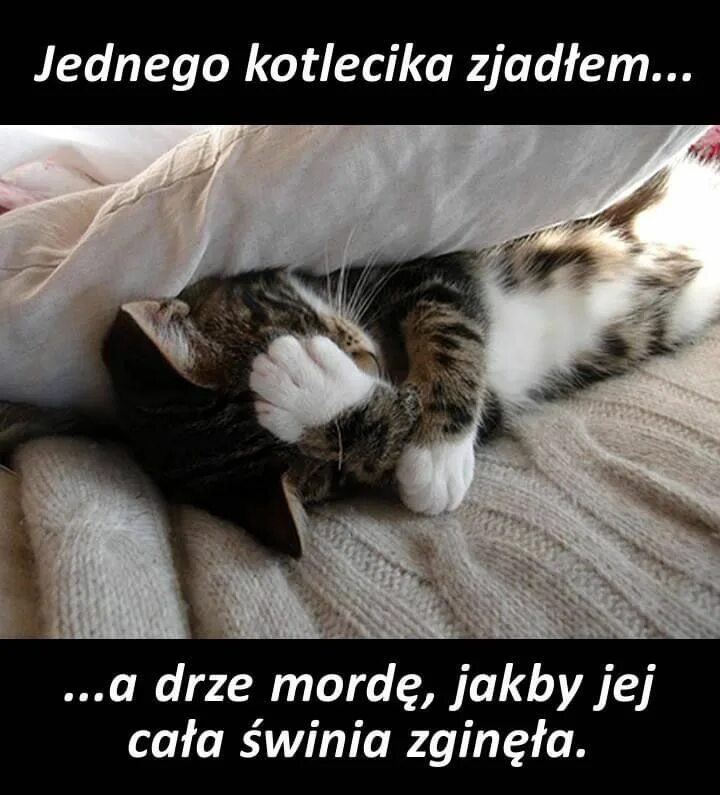 Так вот как это бывает