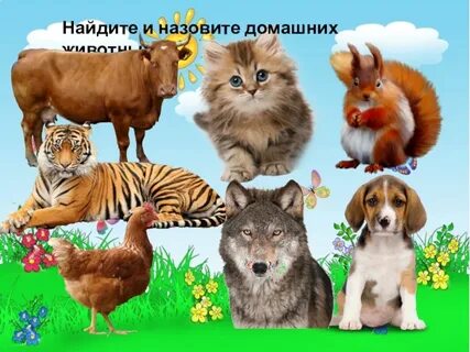Найди назови