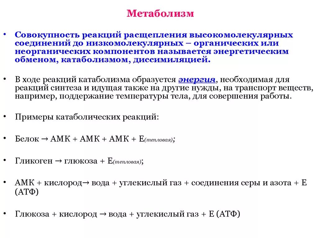 Реакция расщепления атф. Примеры энергетического обмена. Обмен веществ примеры. Реакции метаболизма. Метаболизм примеры.