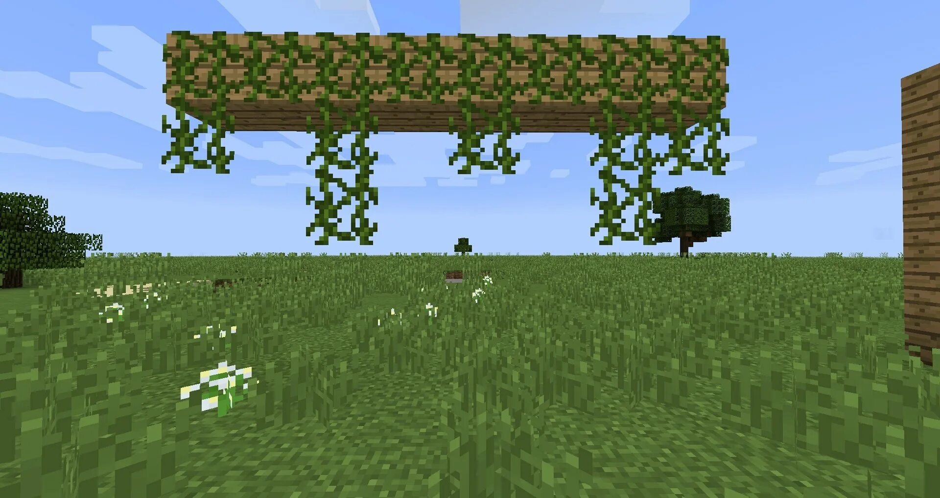 Вьющаяся лоза майнкрафт. Свисающие лианы майнкрафт. Лианы в майнкрафте. Лоза в майнкрафте. Лианы в джунглях майнкрафт.