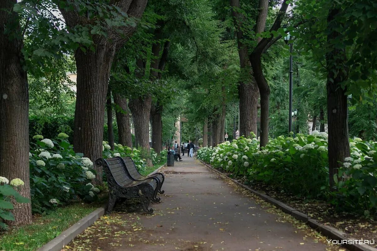 Городские парки москвы. Нескучный сад в Москве. Парк Нескучный сад в Москве. Парк Горького Москва Нескучный сад. Нескучный сад в парке Горького.