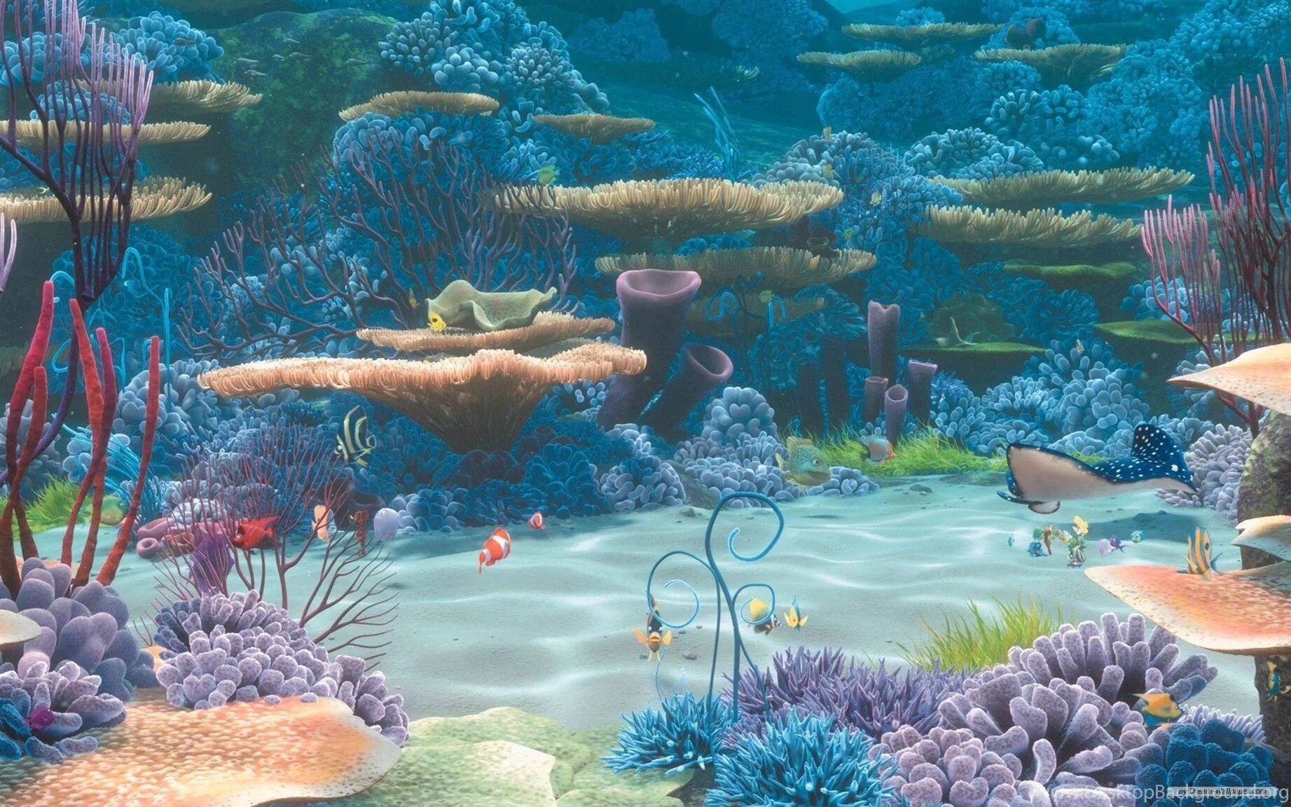 Все вещи 3 моря. Немо риф. Немо подводный риф. Калуокахина Зачарованный риф. Коралловый риф Немо.