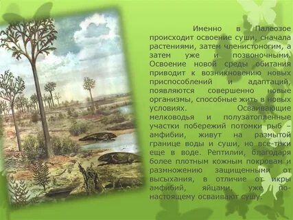 Появление растений на суше