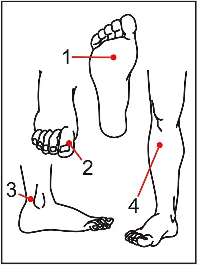 Точки на стопе для массажа. Болевая точка на ноге на голени. Болевые точки для массажа. Массаж ног болевые точки.