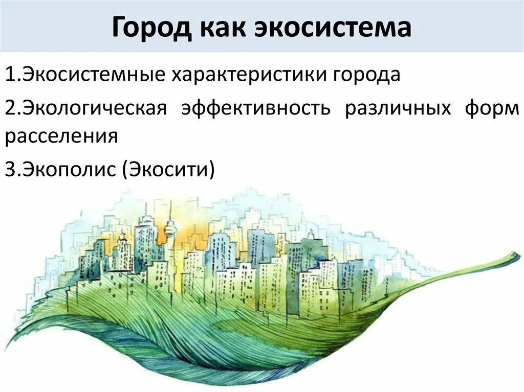 Экосистема. Городская экосистема. Экосистема городской среды. Городская экосистема это в экологии.