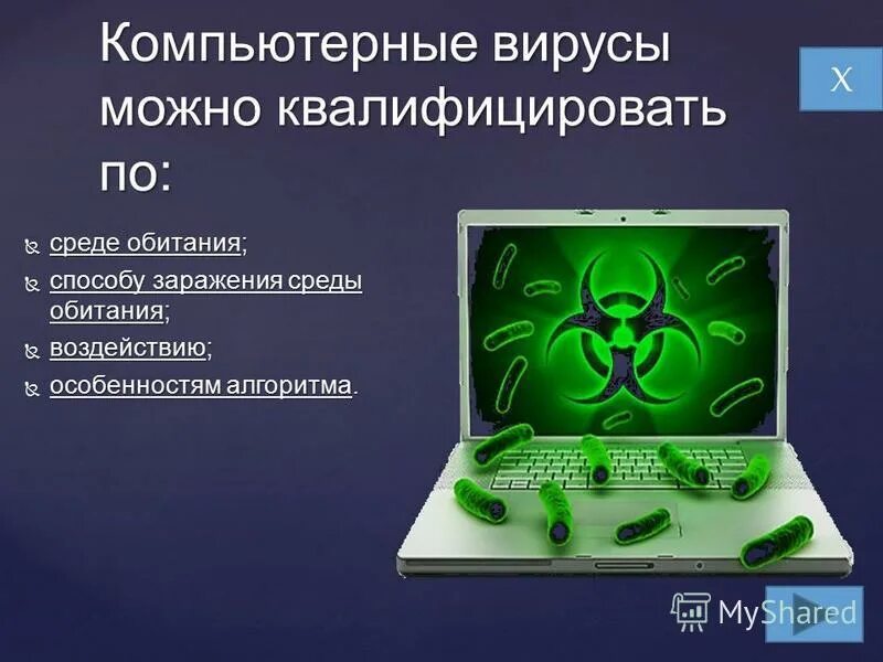 Какие программы удаляют вирусы. Компьютерные вирусы. среда обитания компьютерных вирусов.