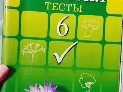 Тесты гекалюк 8