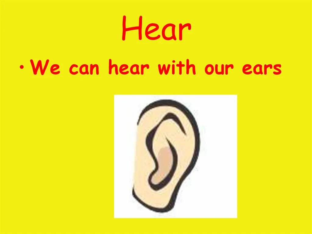I can t hear. I can hear. Hear на английском. Проект 5 senses. I see для детей.