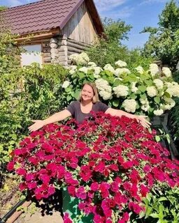 Вейв кармин велюр