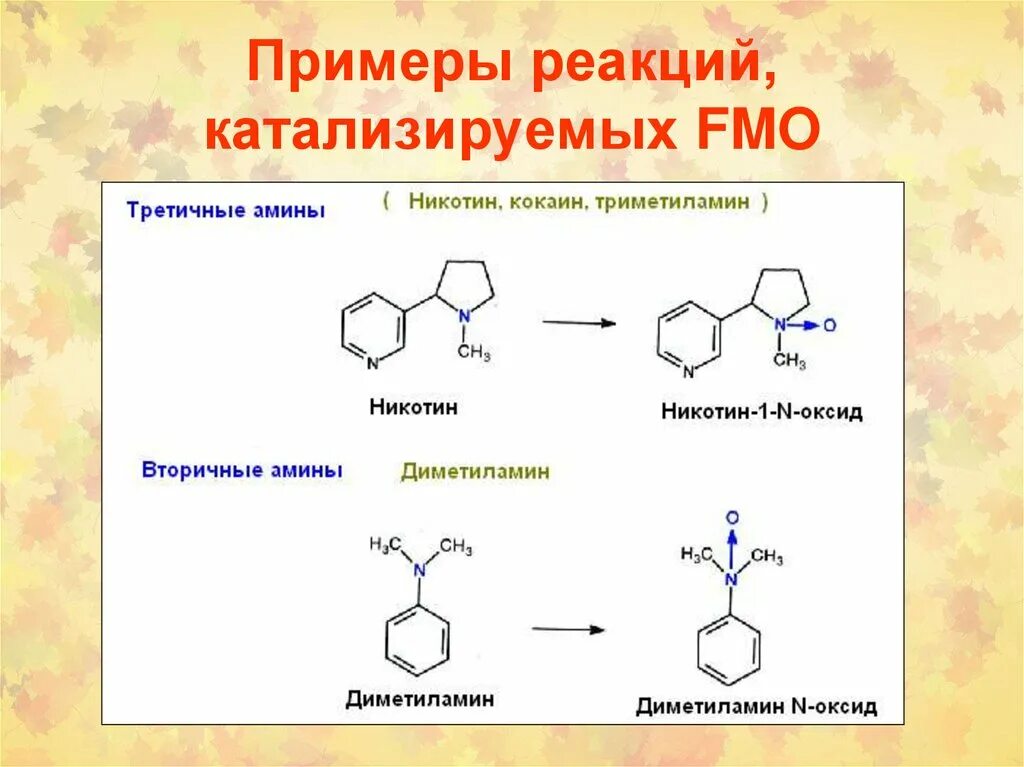 Прогрессивная реакционная деятельность примеры Образец деятельности пример